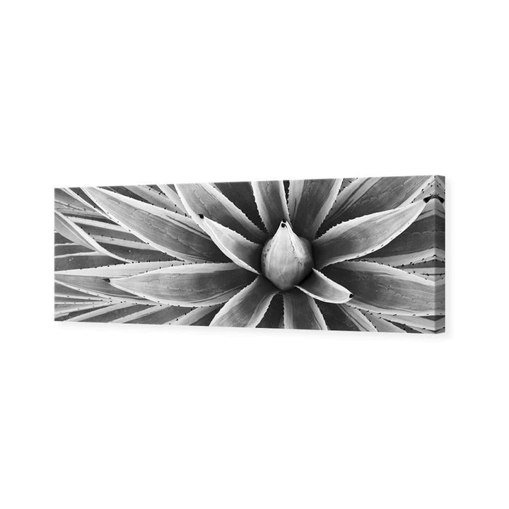 Prickly Perfect, Black and White (Long) Wall Art