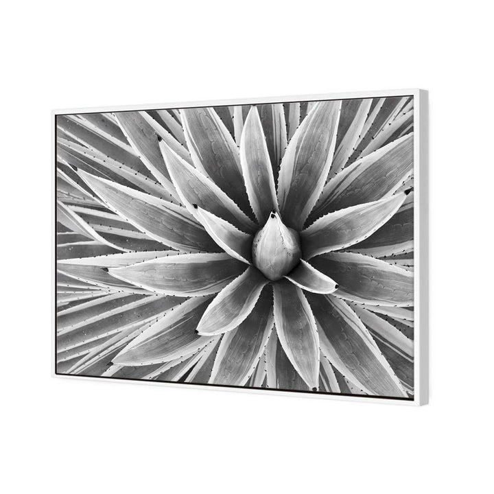 Prickly Perfect, Black and White (Landscape) Wall Art