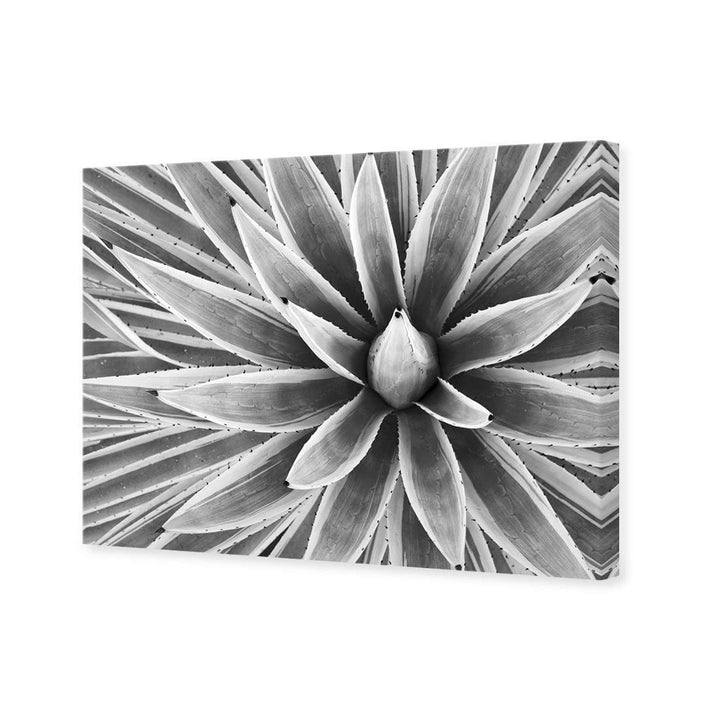 Prickly Perfect, Black and White (Landscape) Wall Art