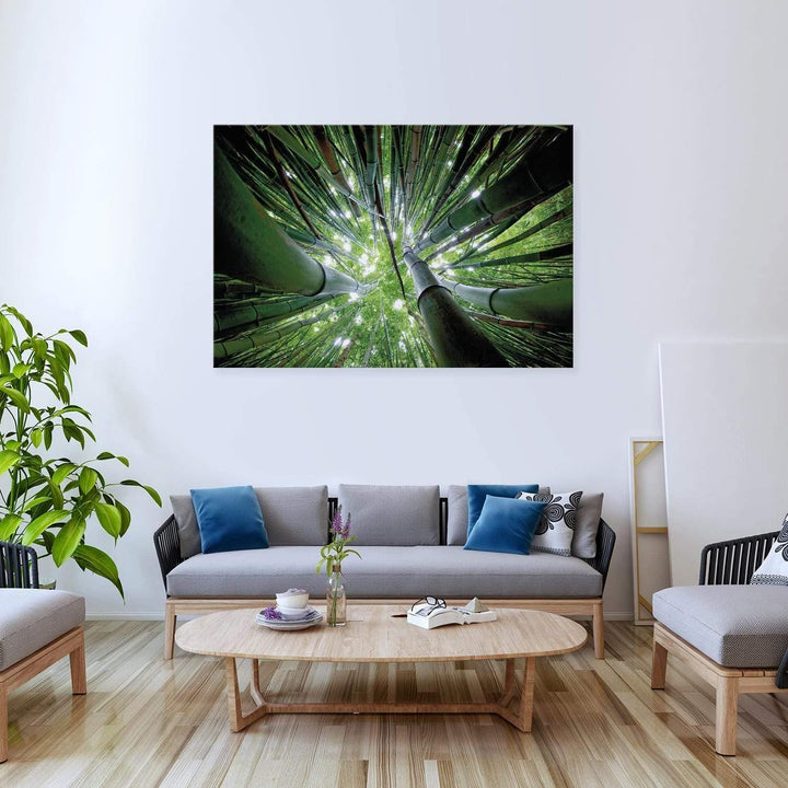 Bamboo From Above (Landscape) Wall Art