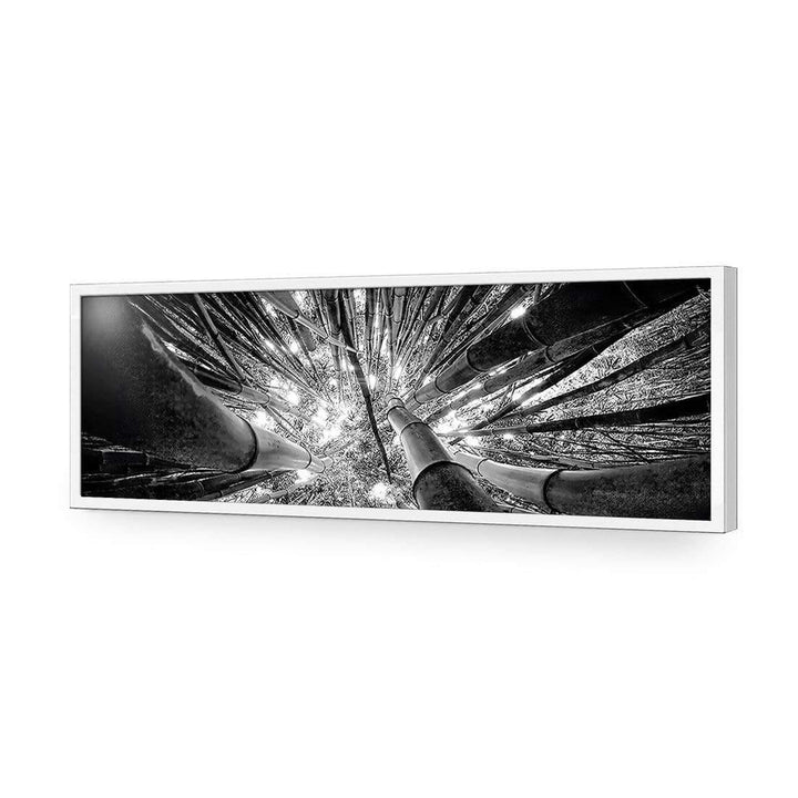 Bamboo From Above, Black and White (Long) Wall Art