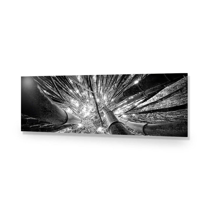 Bamboo From Above, Black and White (Long) Wall Art