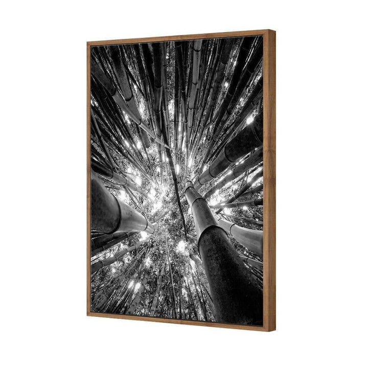 Bamboo From Above, Black and White (Portrait) Wall Art