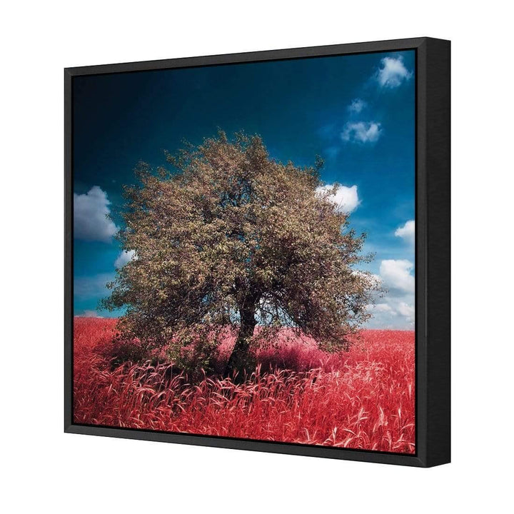 Crimson Meadow (Square) Wall Art