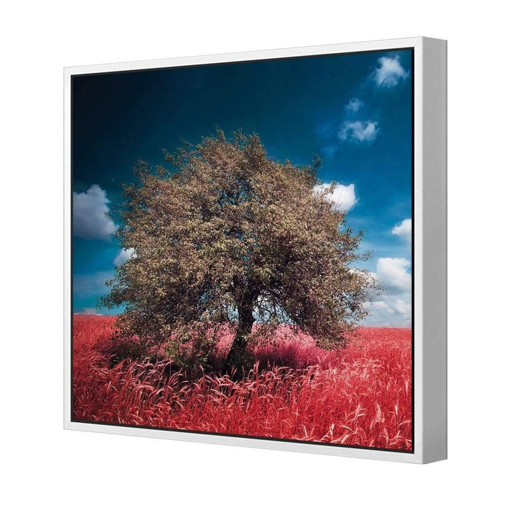 Crimson Meadow (Square) Wall Art