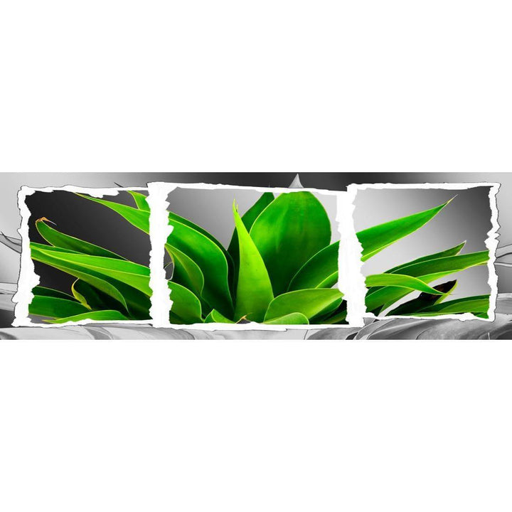 Plant in Window, Green (Long) Wall Art