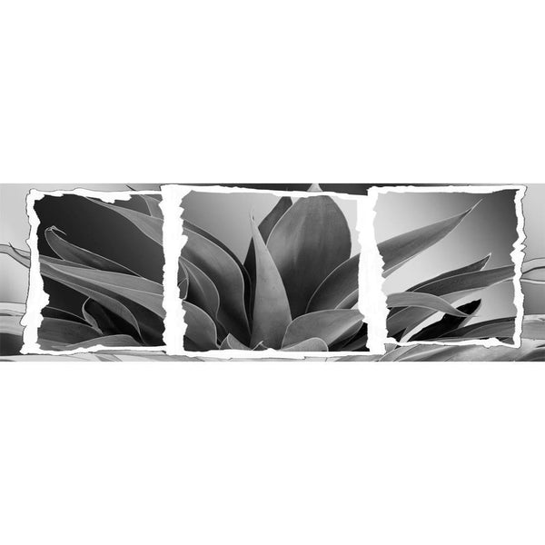 Plant in Window, Black and White (Long) Wall Art