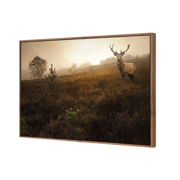 Morning Stag Wall Art