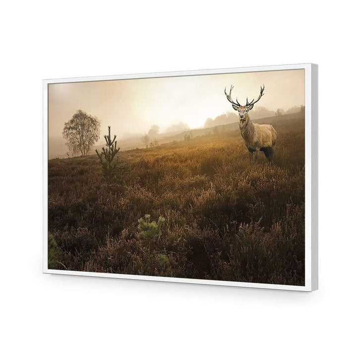 Morning Stag Wall Art
