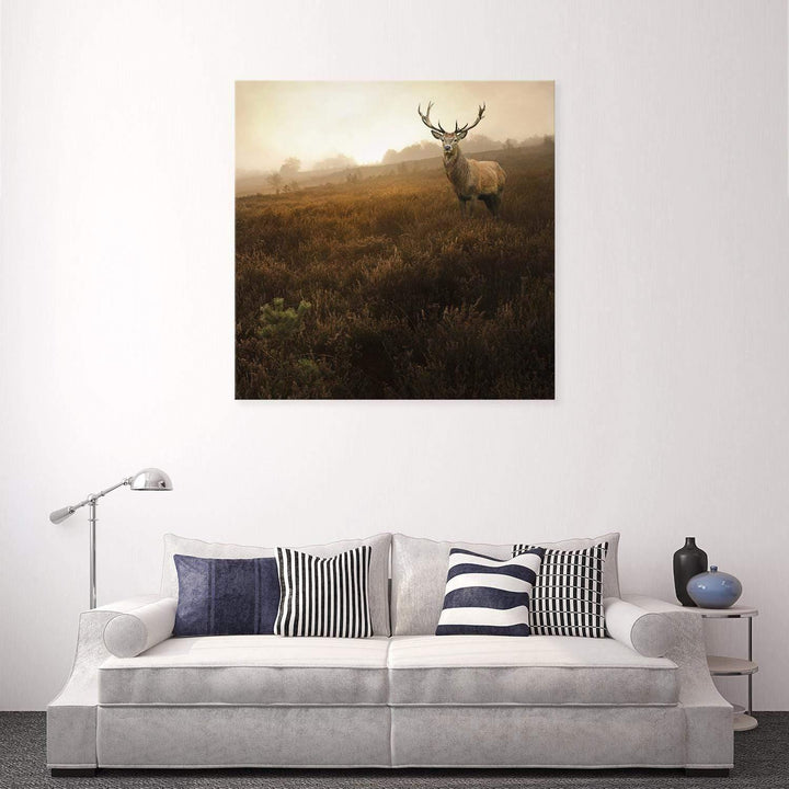 Morning Stag (Square) Wall Art