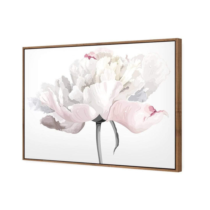 Delicate Bloom on White Wall Art