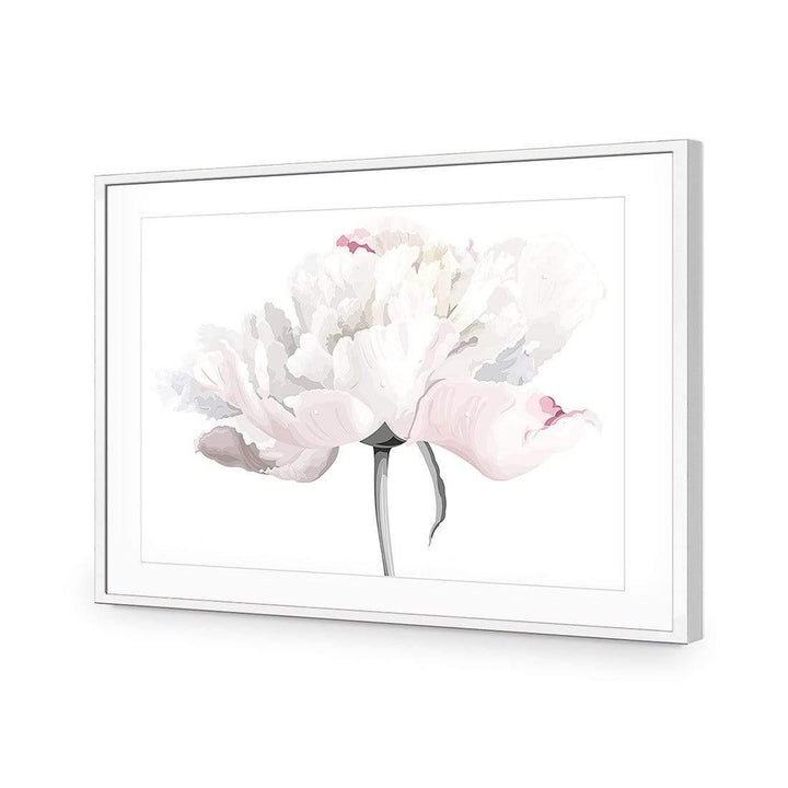Delicate Bloom on White Wall Art