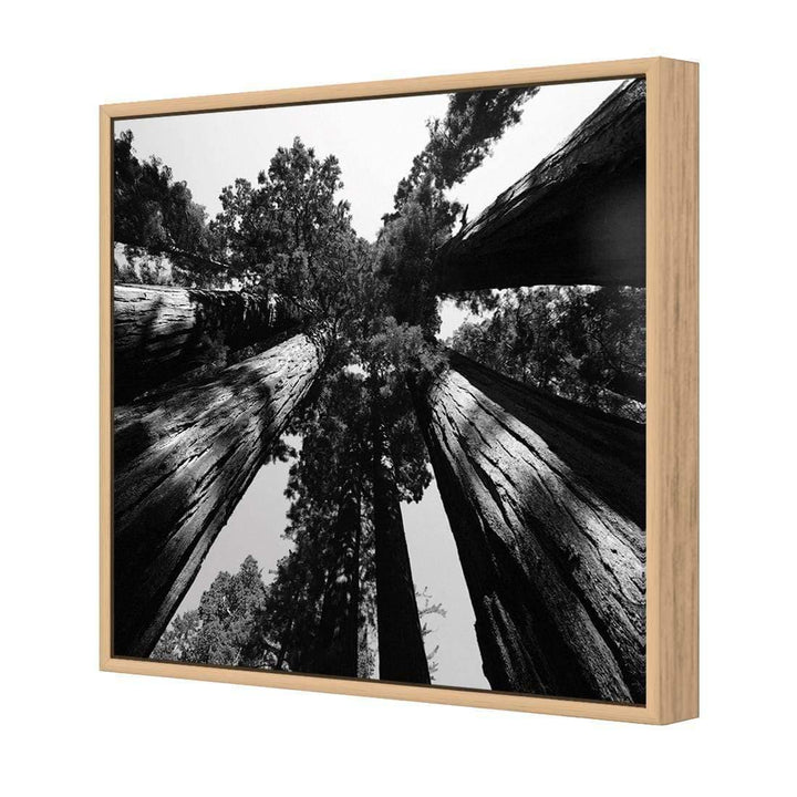 Ginormous, Black and White (Square) Wall Art