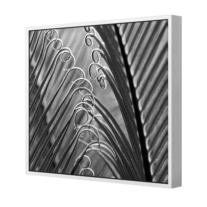 Leaf Curls, Black and White (Square) Wall Art
