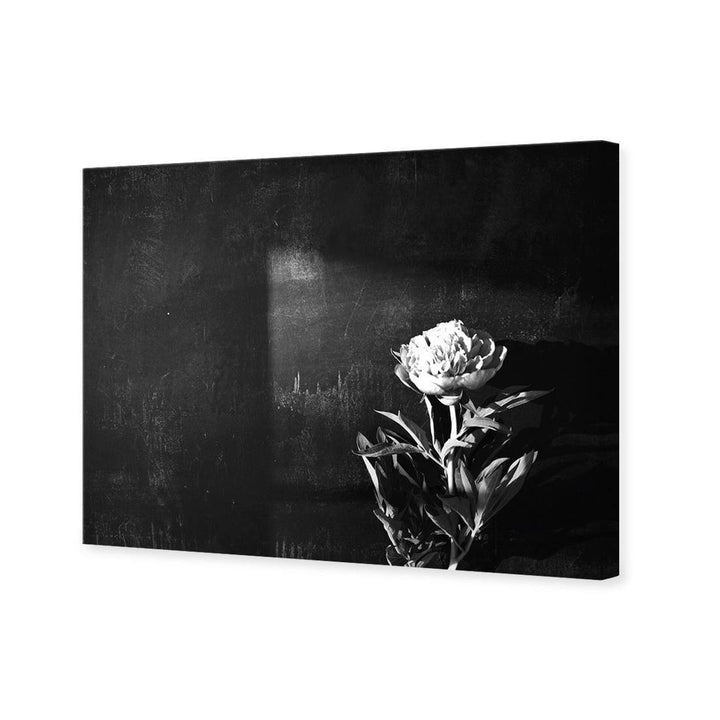 Peony Chalked, Black and White (Landscape) Wall Art