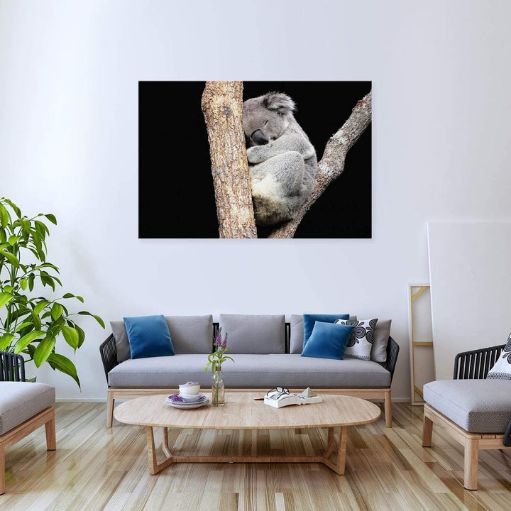 Sam the Sleepy Koala Wall Art