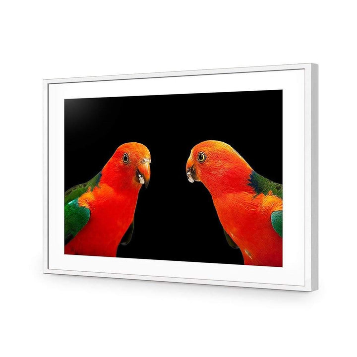 Two King Parrots Wall Art