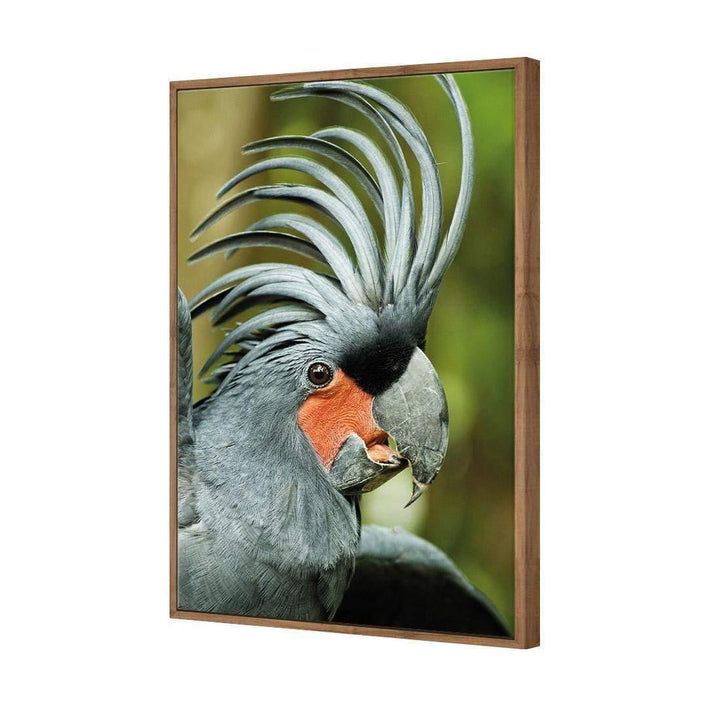Percy the Palm Cockatoo, Right Wall Art