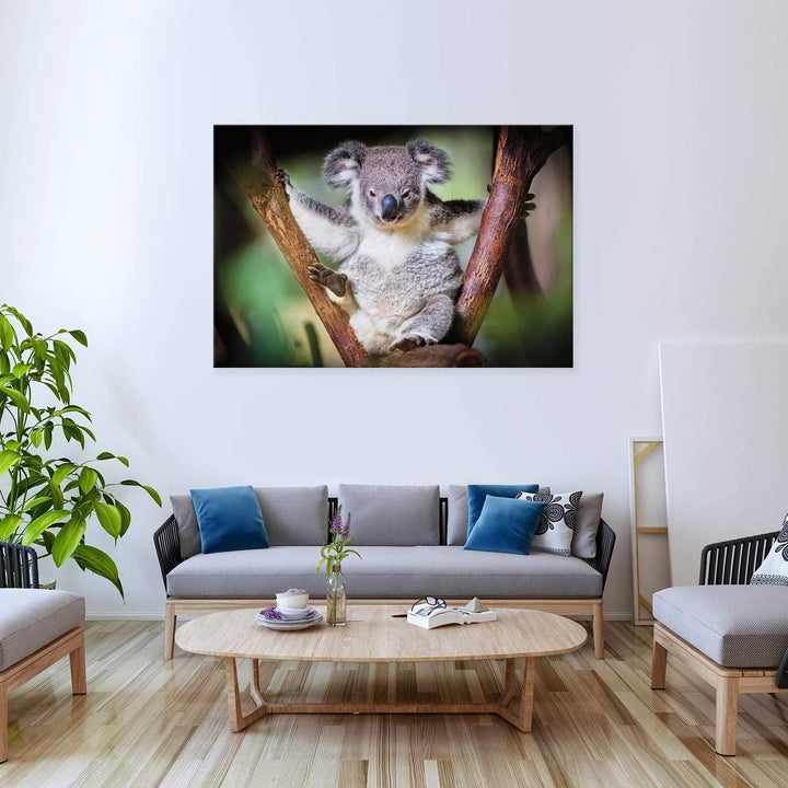 Henry the Koala Wall Art