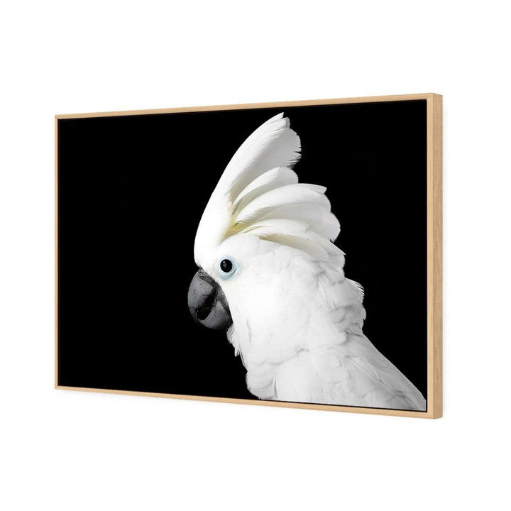 Cassie the Cockatoo Wall Art