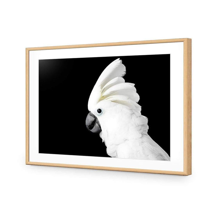 Cassie the Cockatoo Wall Art