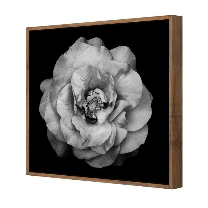 True Turquoise Rose, Black and White (Square) Wall Art