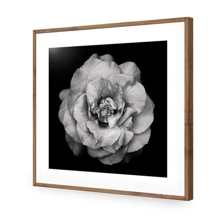 True Turquoise Rose, Black and White (Square) Wall Art