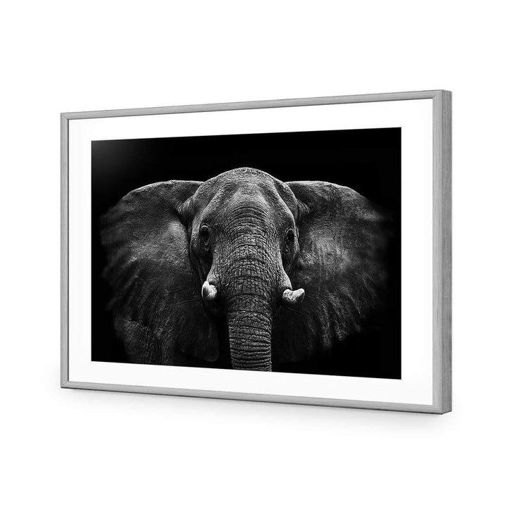 Regal Elephant Wall Art