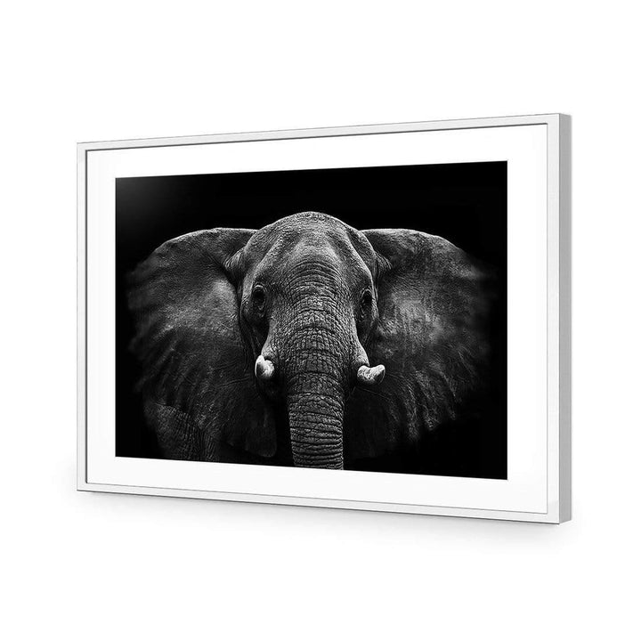 Regal Elephant Wall Art