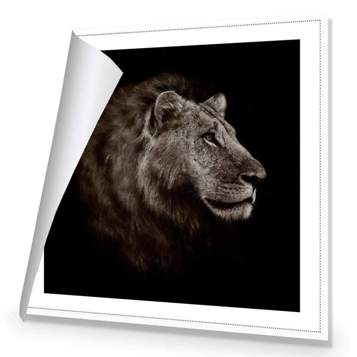Lion Portrait Wall Art