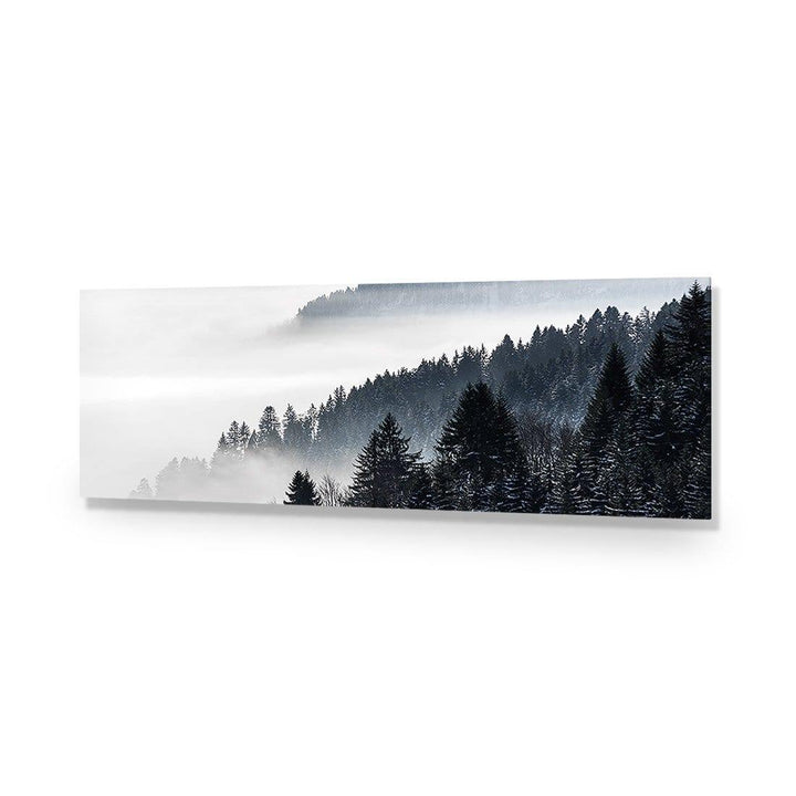 Alpine Conifer Mist (Long) Wall Art