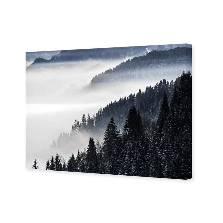 Alpine Conifer Mist (Landscape) Wall Art