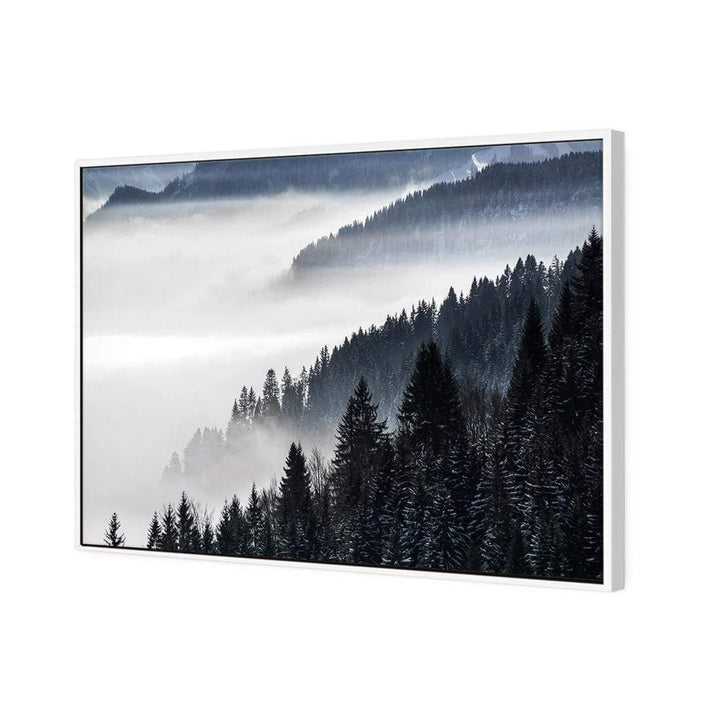 Alpine Conifer Mist (Landscape) Wall Art