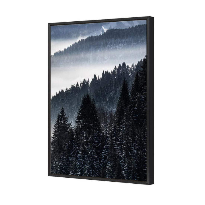 Alpine Conifer Mist (Portrait) Wall Art