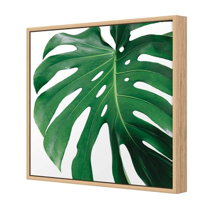 Monstera Perfection (Square) Wall Art