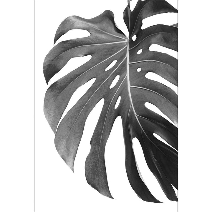 Monstera Perfection, Black and White Wall Art