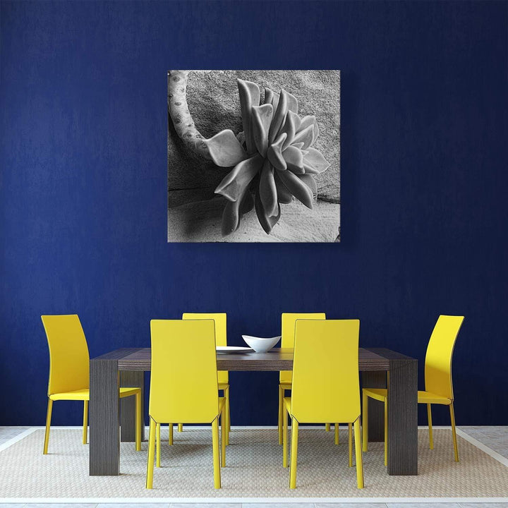 Agave on Grey (Square) Wall Art