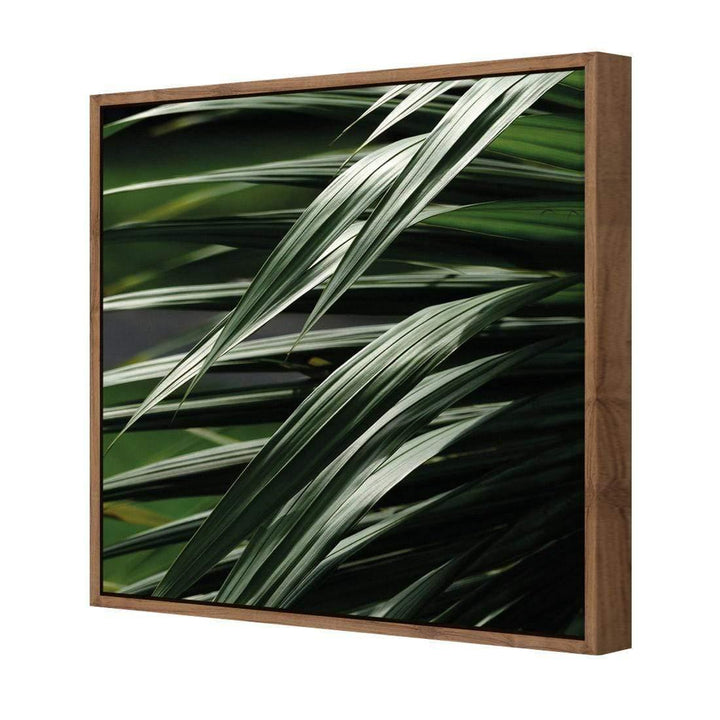 Frond Art (Square) Wall Art