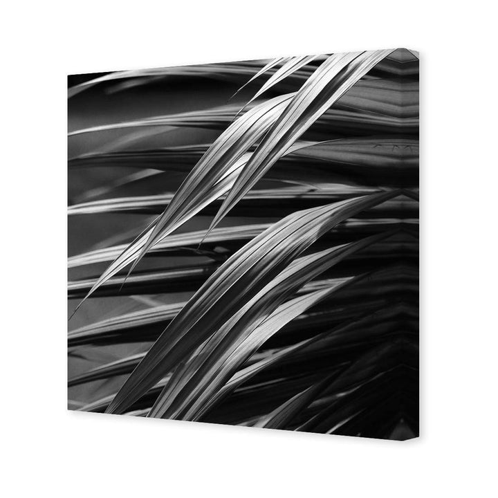 Frond Art, Black and White (Square) Wall Art