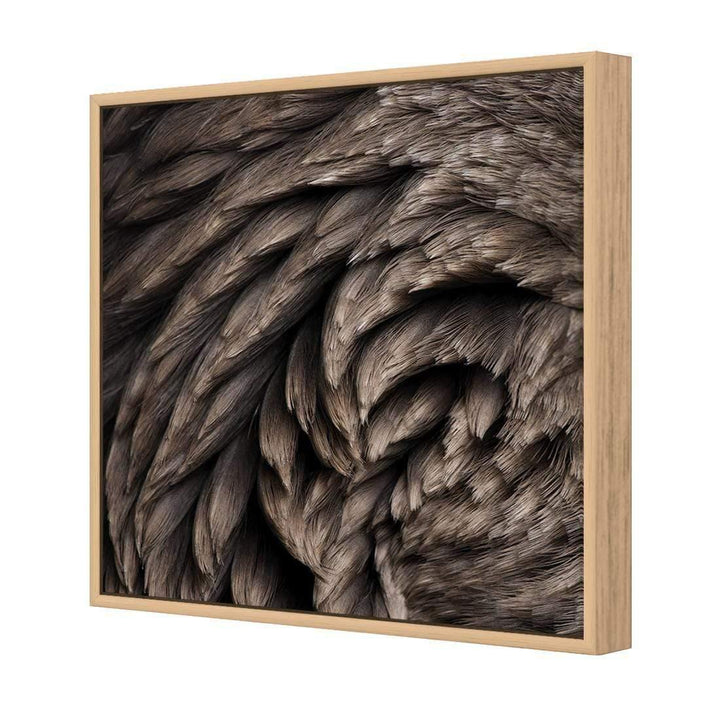 Natural Feathering (Square) Wall Art
