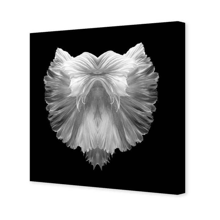 Fan Tails, Black and White (Square) Wall Art