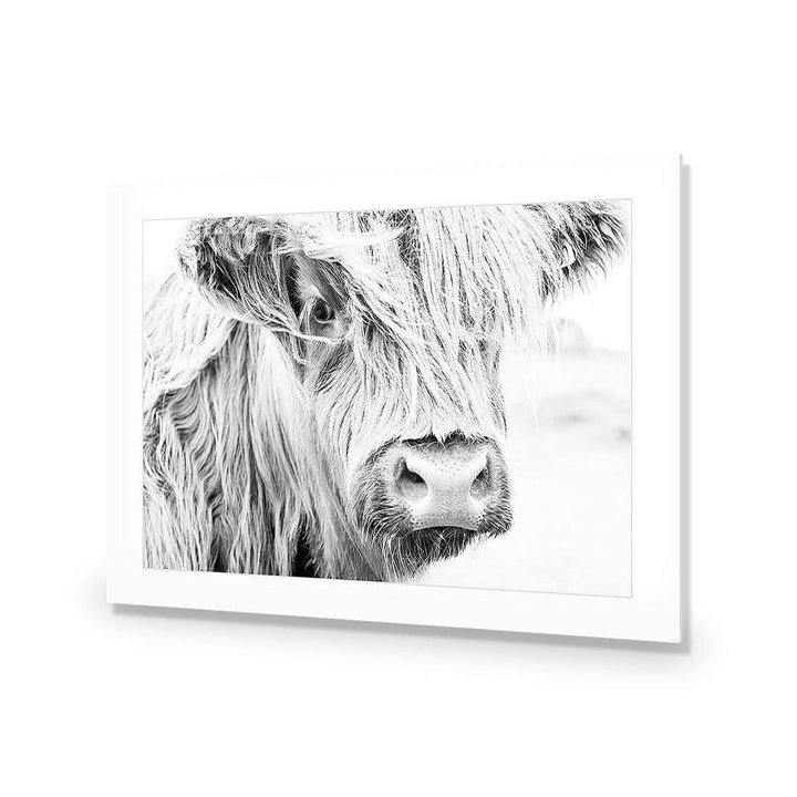 Henrietta the Highland Cow Wall Art