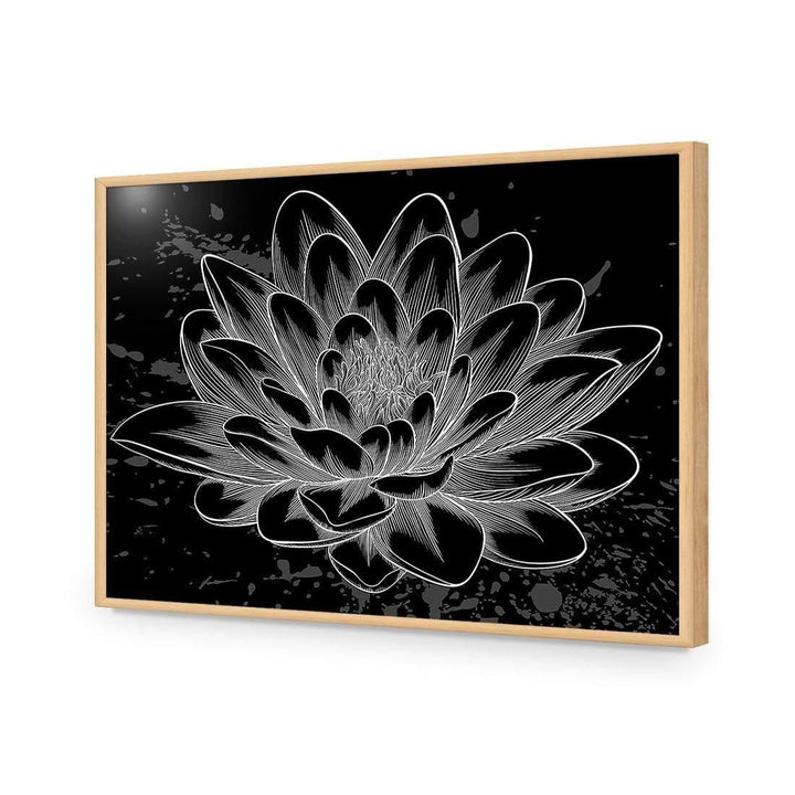 Lotus Sketched Wall Art