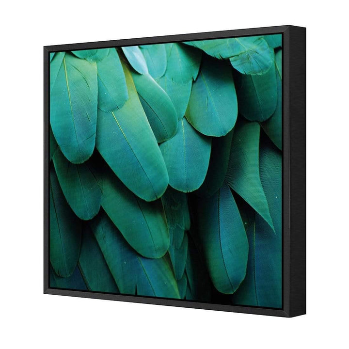 Macaw Feathers (Square) Wall Art