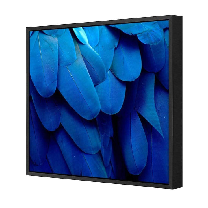 Macaw Feathers, Blue (Square) Wall Art