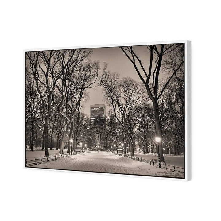 Winter in Central Park Wall Art