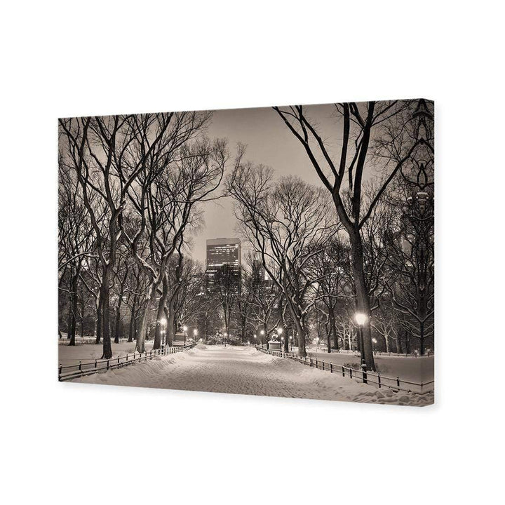 Winter in Central Park Wall Art