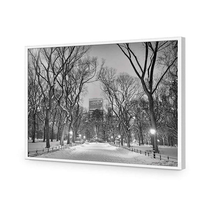 Winter In Central Park Black and White Wall Art
