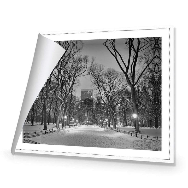 Winter In Central Park Black and White Wall Art