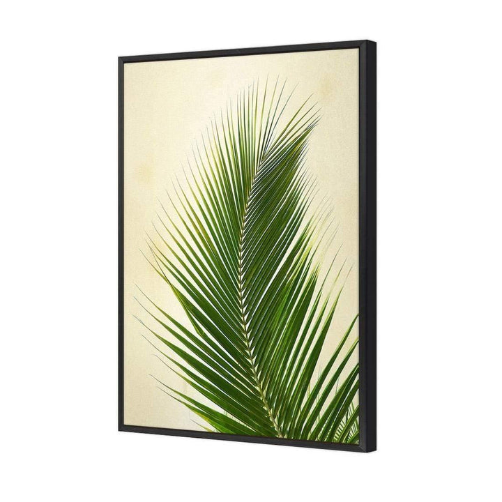 Palm Frond, Vintage Wall Art